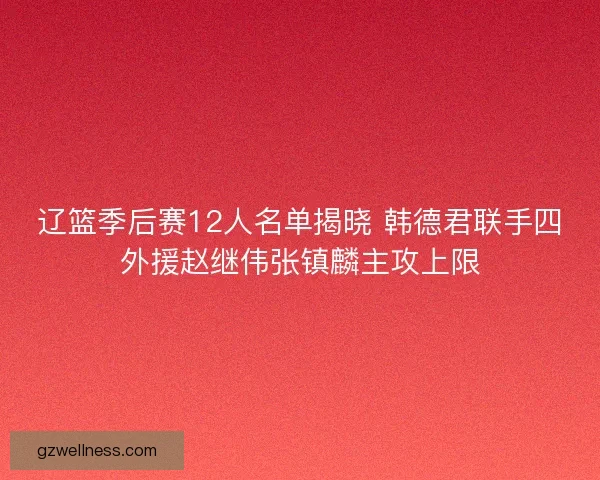 辽篮季后赛12人名单揭晓 韩德君联手四外援赵继伟张镇麟主攻上限