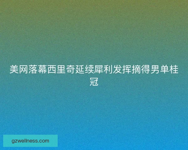 美网落幕西里奇延续犀利发挥摘得男单桂冠