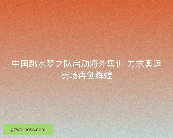 中国跳水梦之队启动海外集训 力求奥运赛场再创辉煌