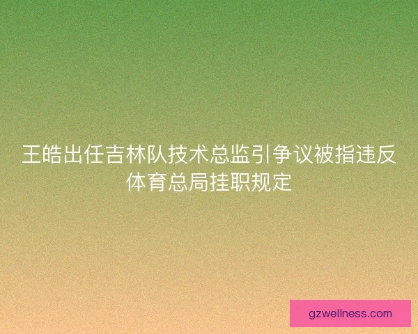 王皓出任吉林队技术总监引争议被指违反体育总局挂职规定